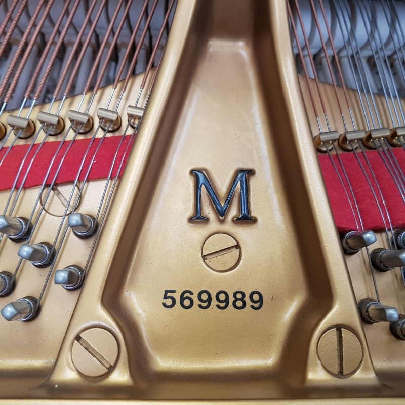 Steinway M