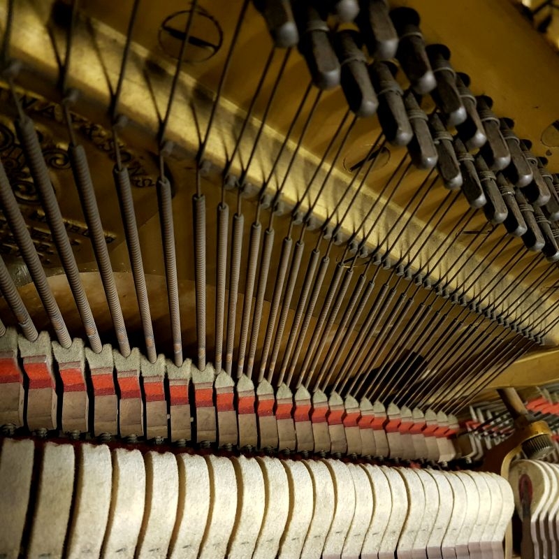 Steinway upright Piano in rosewood – Gallery image – Roberts Pianos Oxford