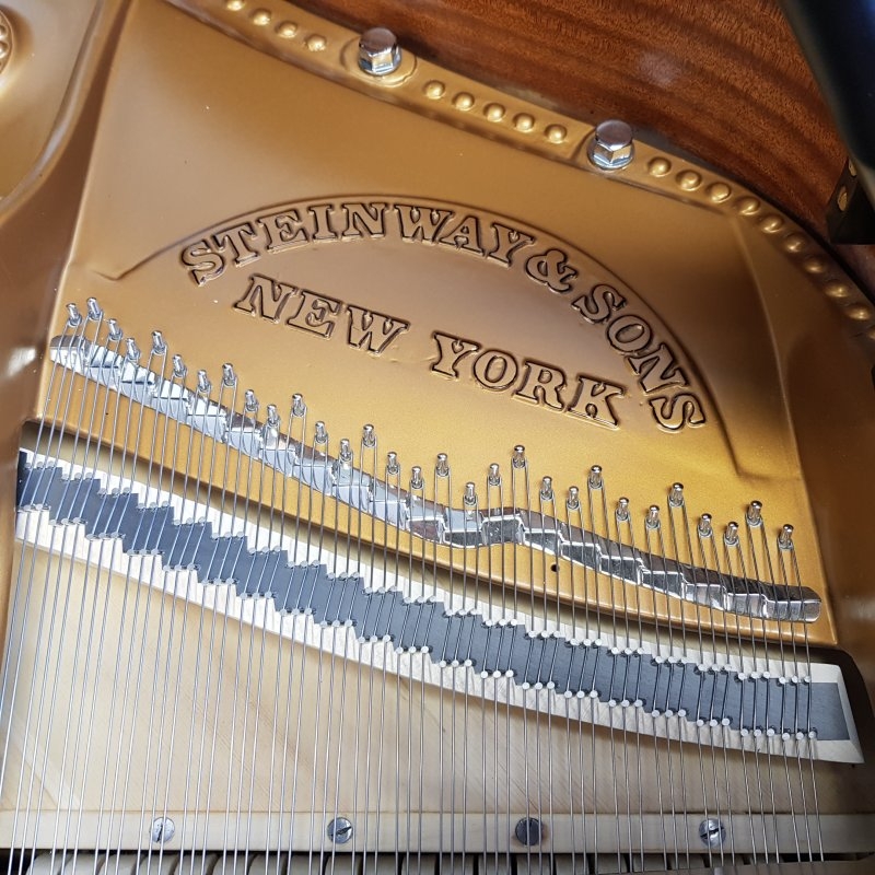 Steinway B