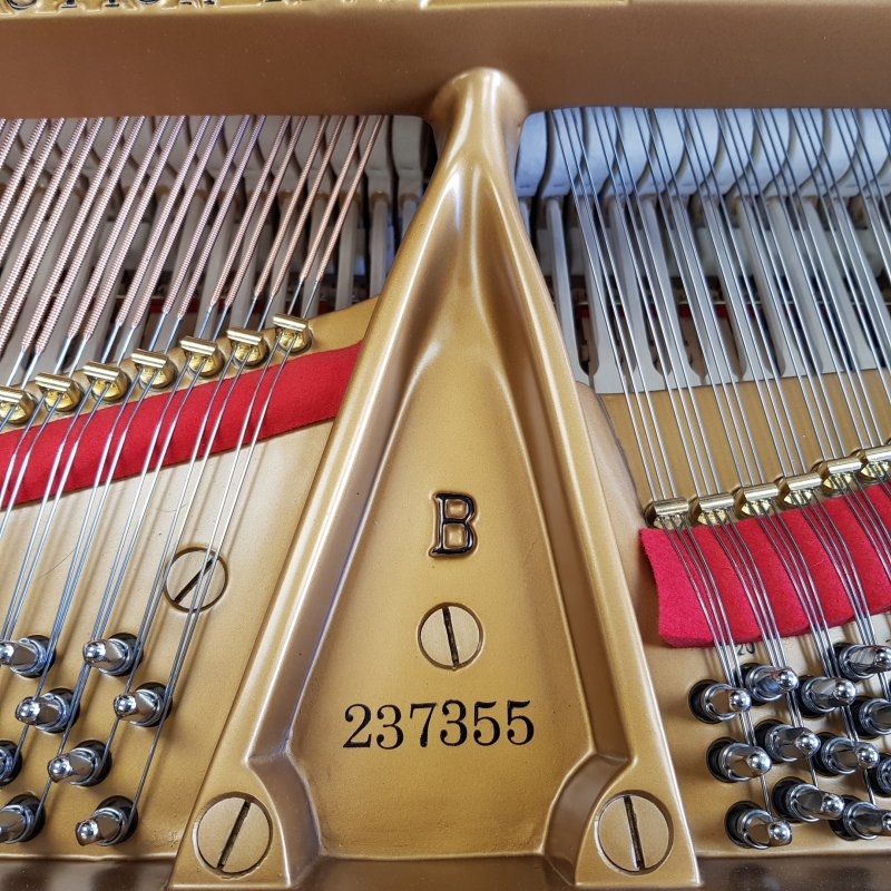 Steinway B