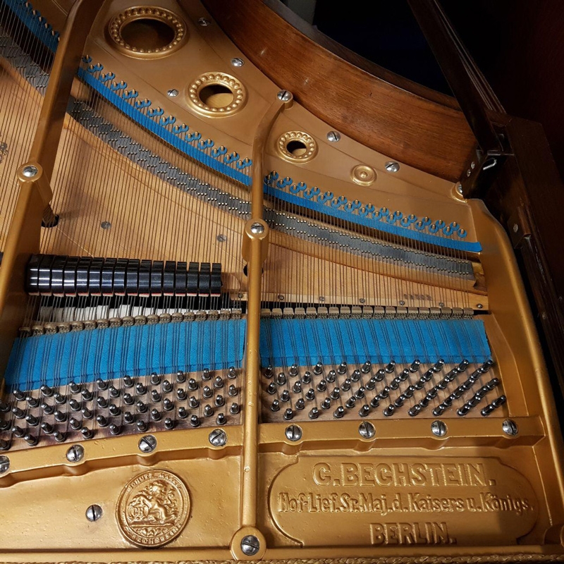 Bechstein V