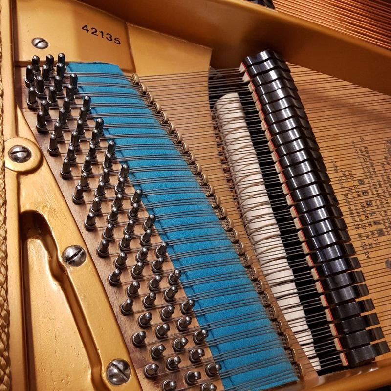 Bechstein V grand Piano in rosewood – Gallery image – Roberts Pianos Oxford