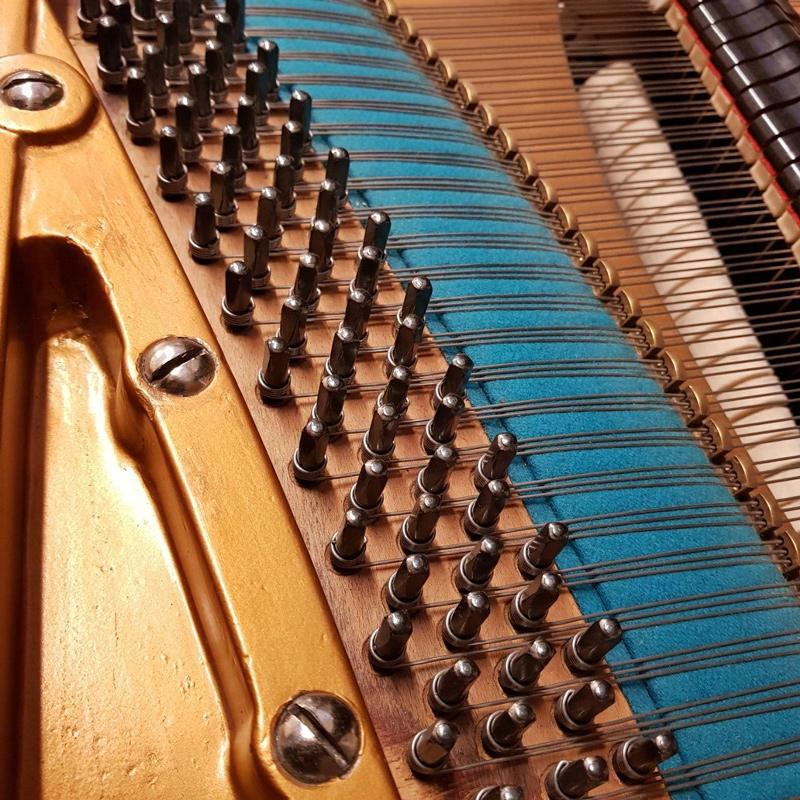 Bechstein V grand Piano in rosewood – Gallery image – Roberts Pianos Oxford