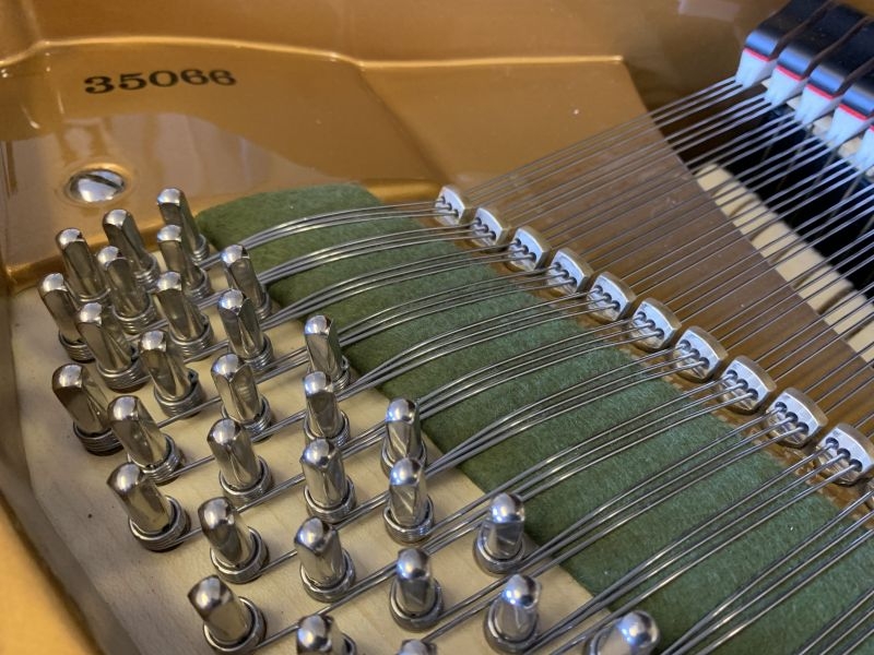 Bechstein V