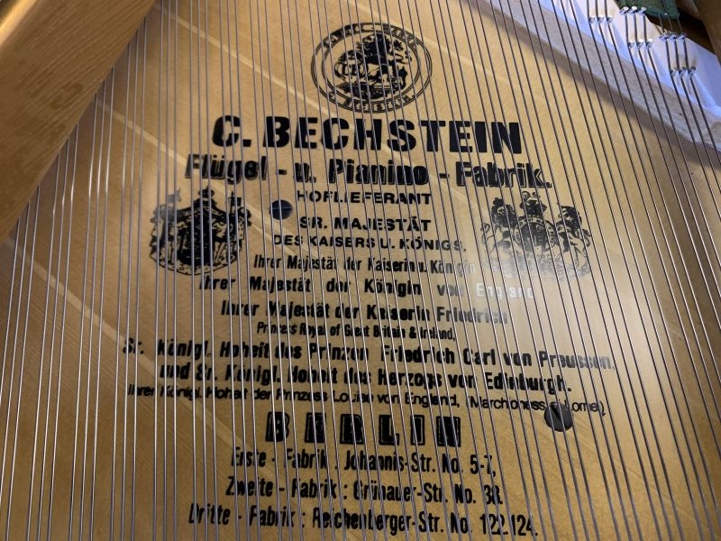 Bechstein V