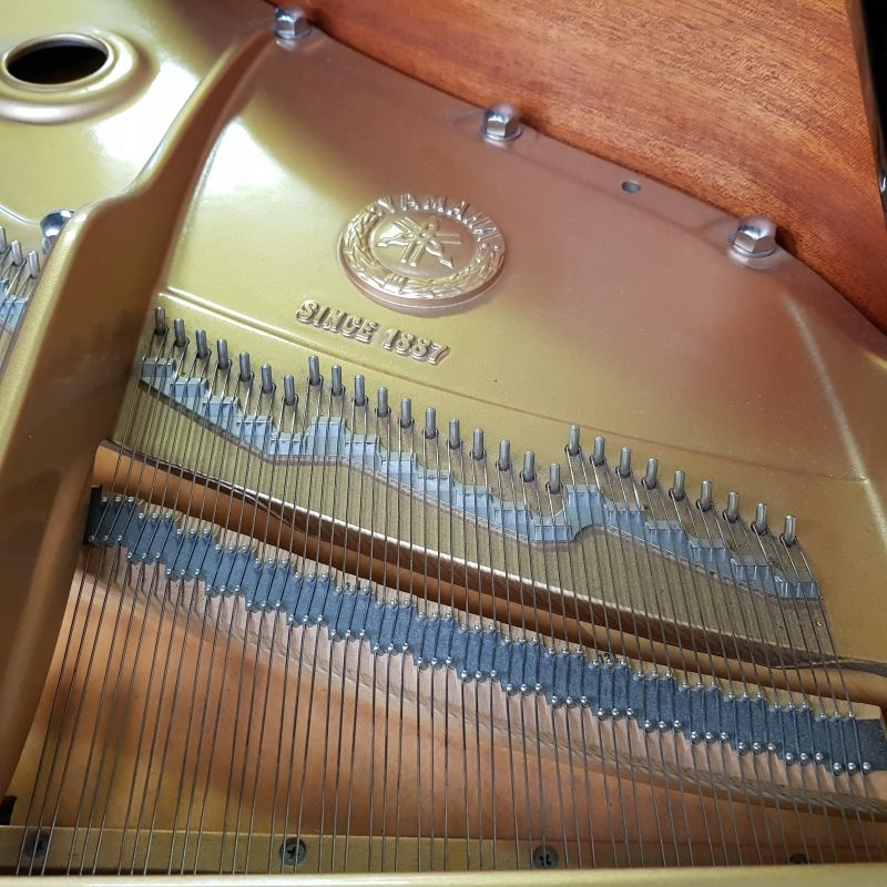 Yamaha C7