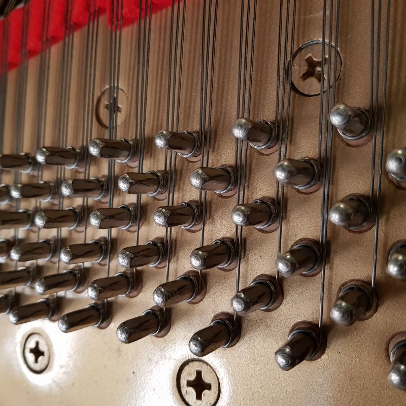 Yamaha C7