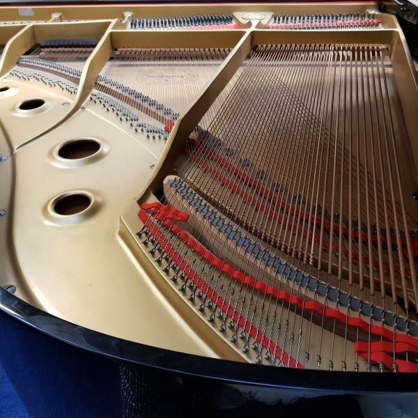 Yamaha G2 grand Piano in bright black – Gallery image – Roberts Pianos Oxford