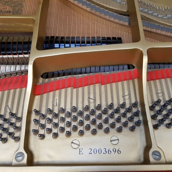 Yamaha G2