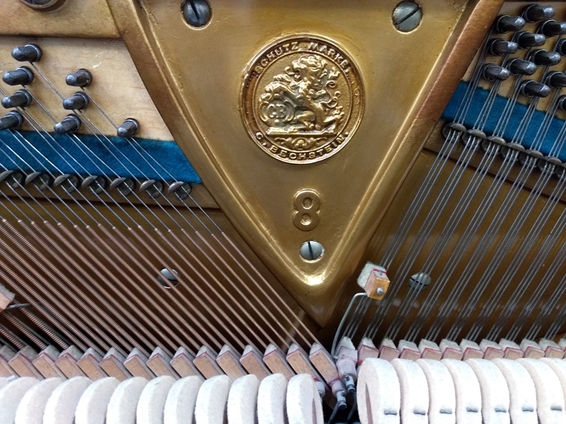 Bechstein 8