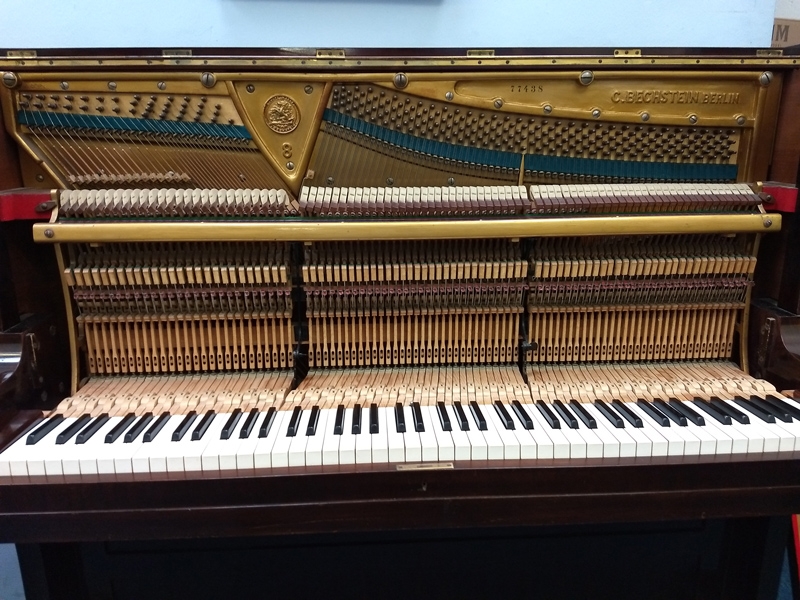 Bechstein 8