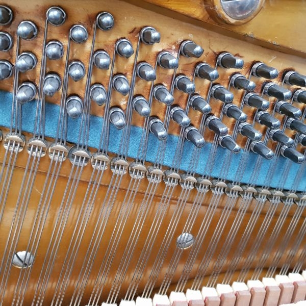 Bechstein 8