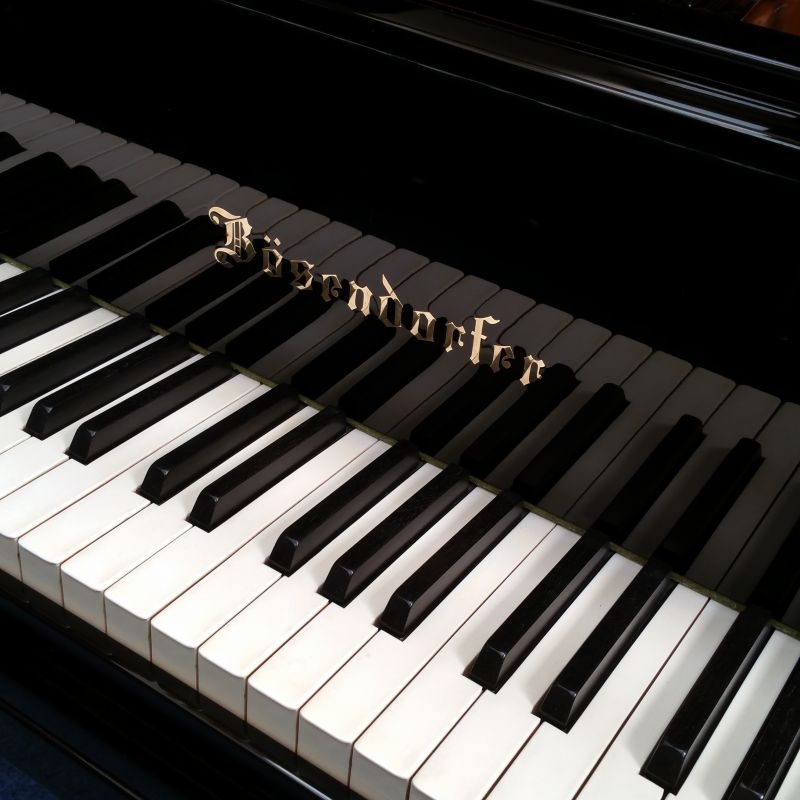 Bosendorfer 200