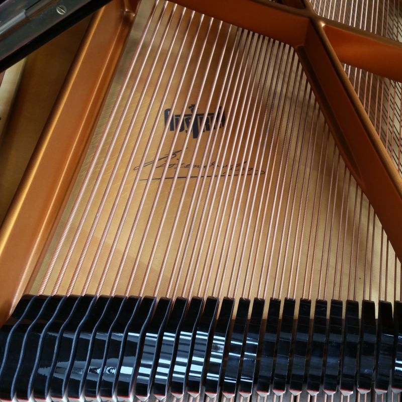 Bosendorfer 200