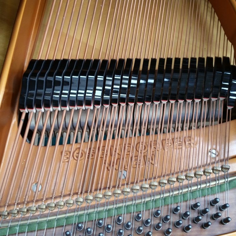 Bosendorfer 200