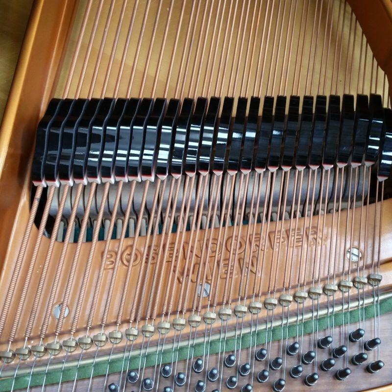 Bosendorfer 200 grand Piano in black polyester – Gallery image – Roberts Pianos Oxford