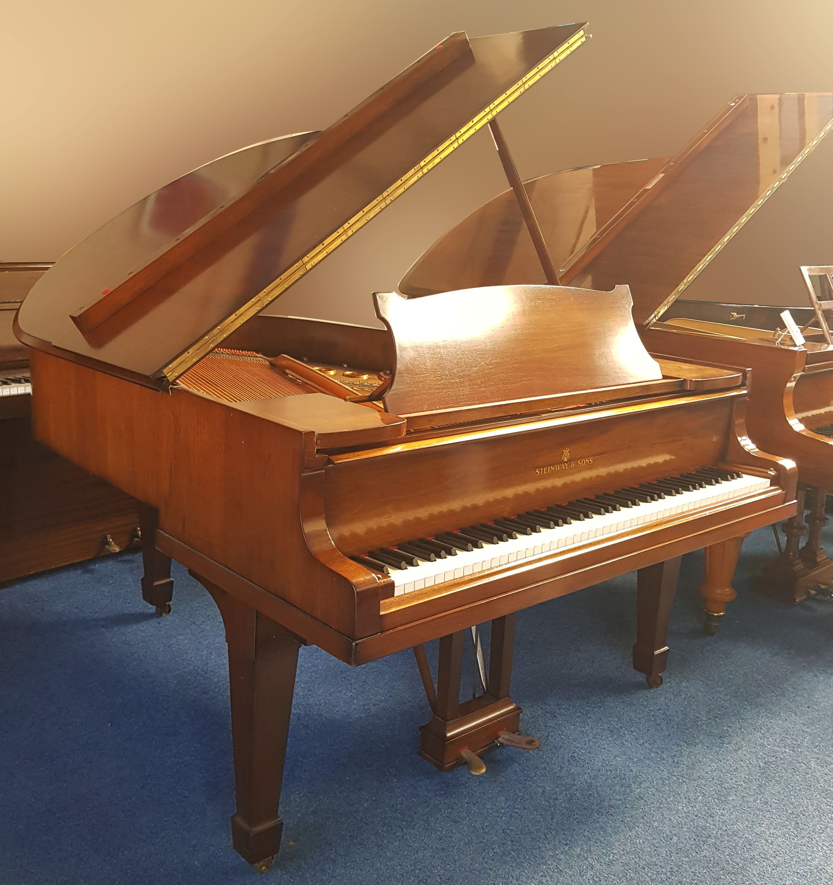 Steinway M