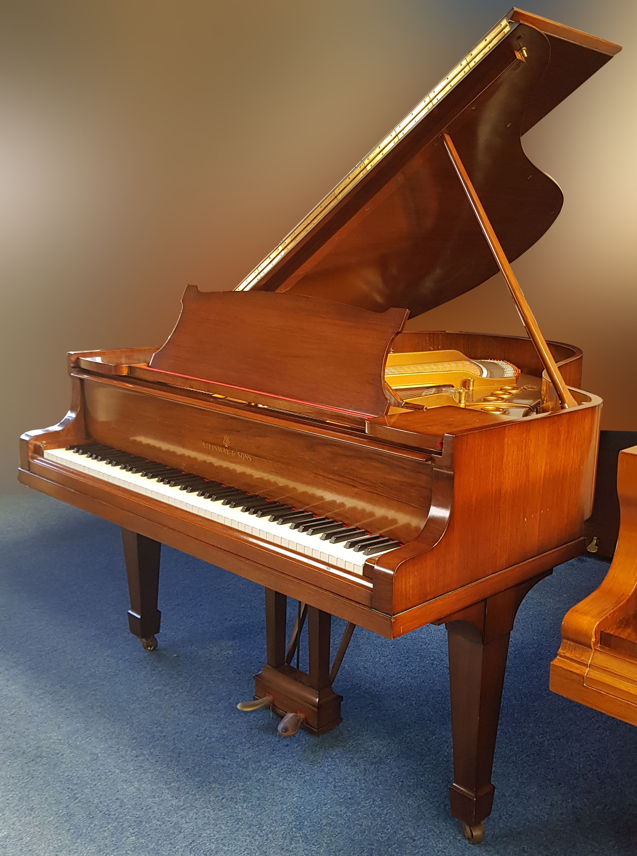 Steinway M