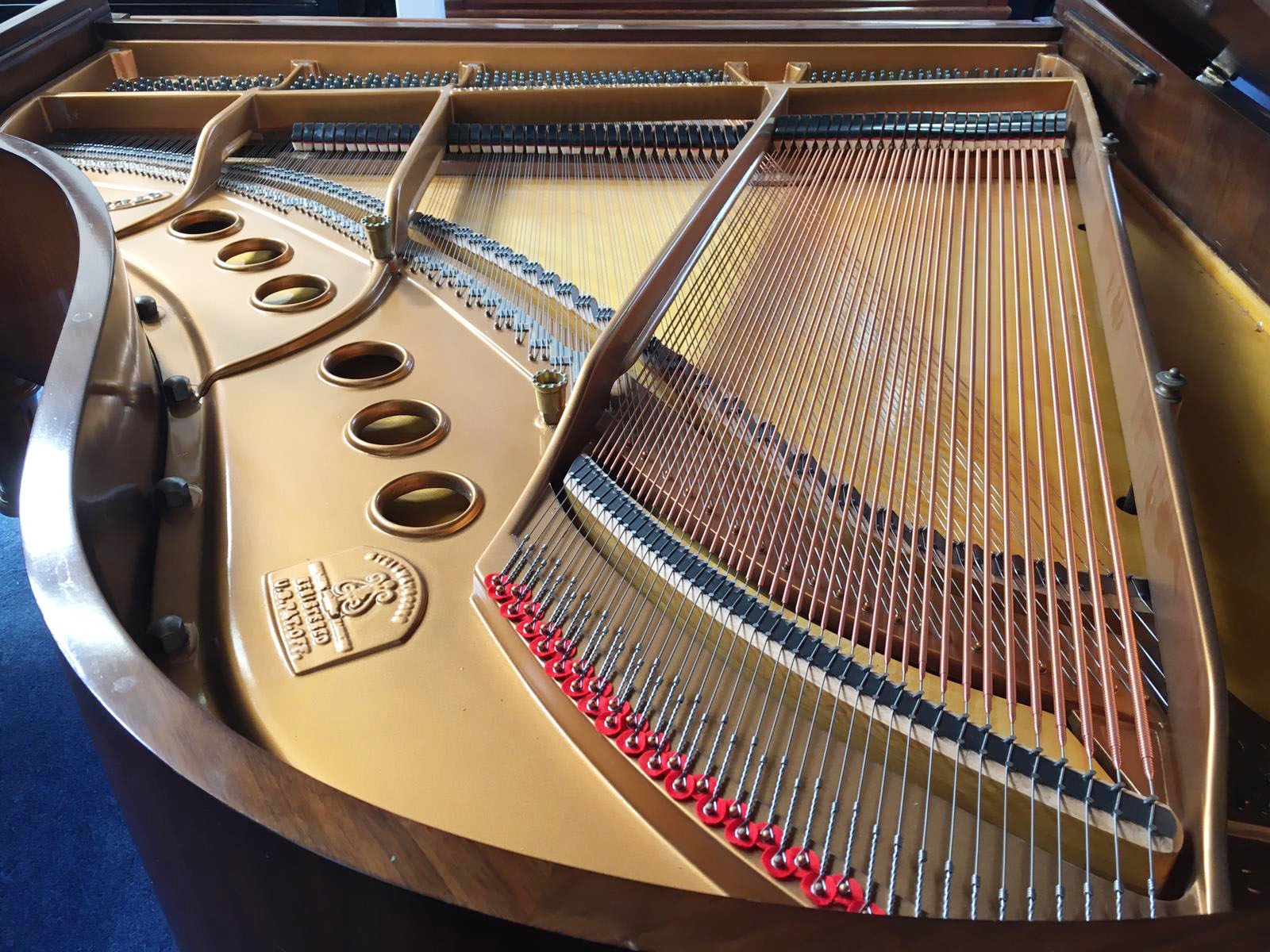 Steinway M