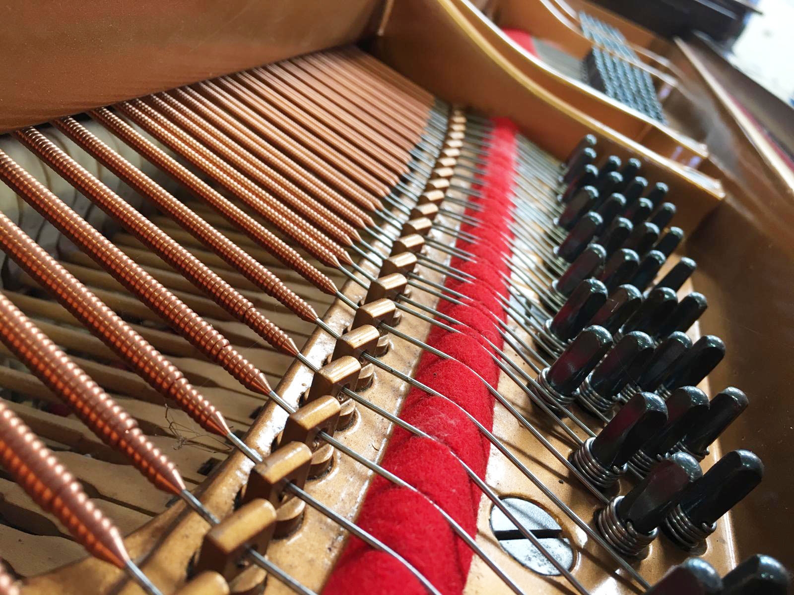 Steinway M