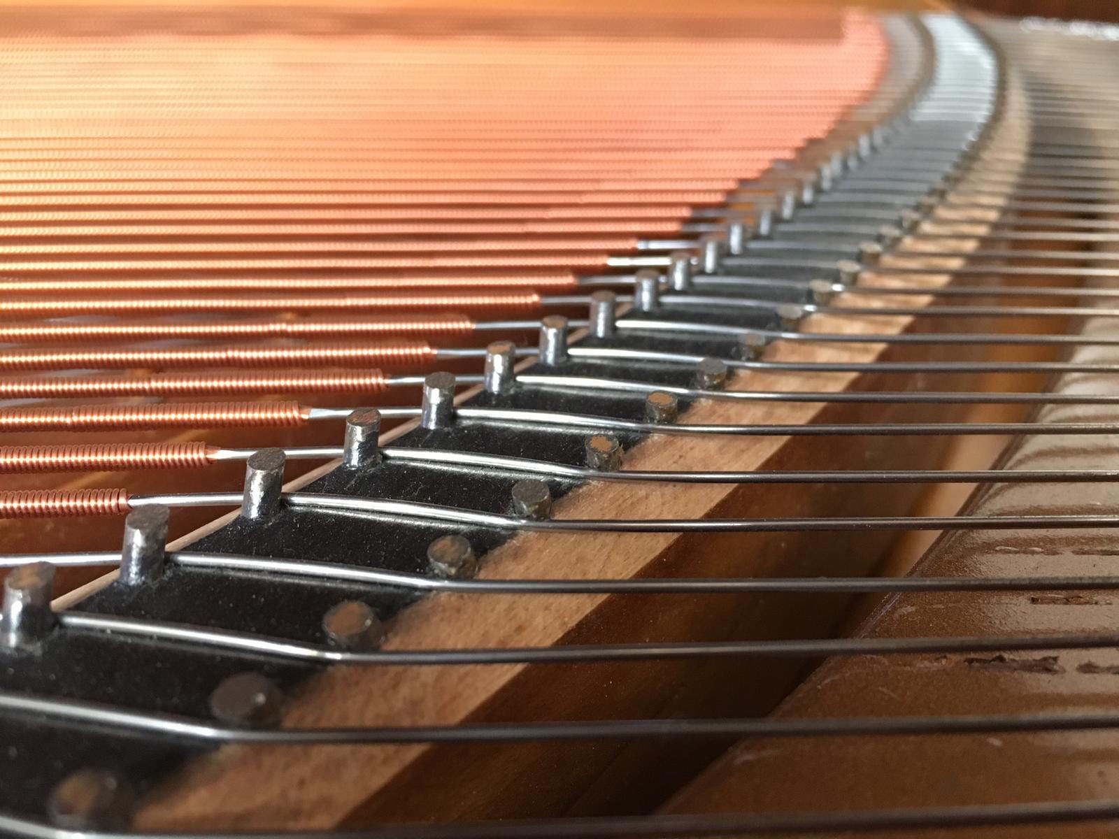Steinway M