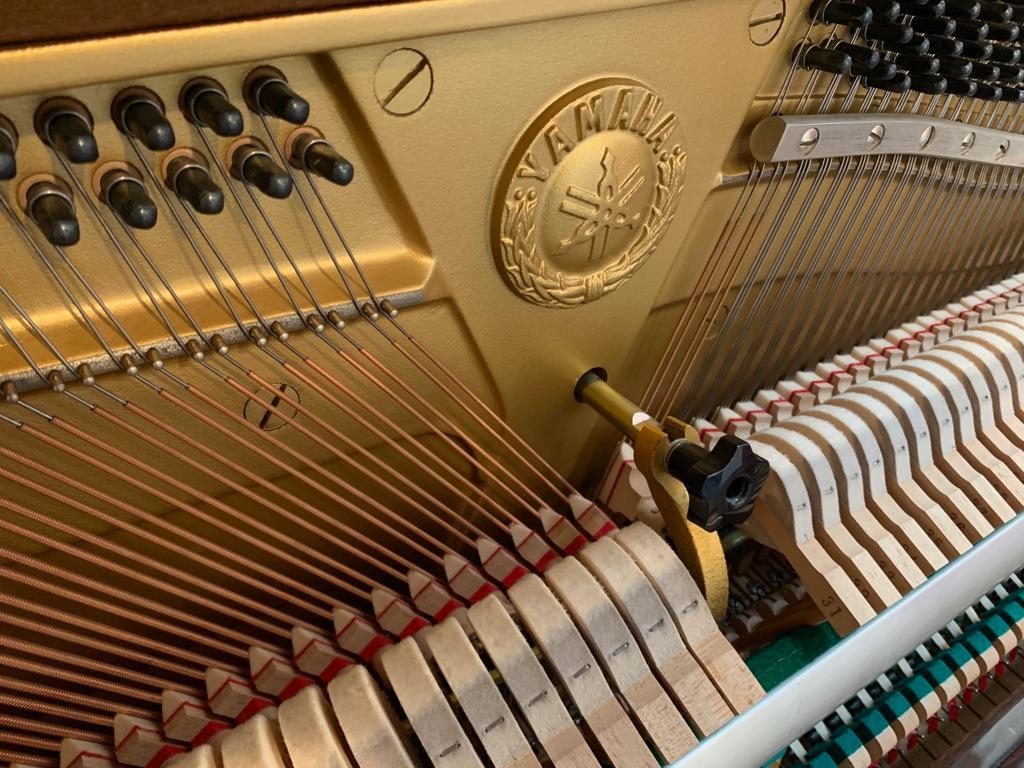 Yamaha M1S