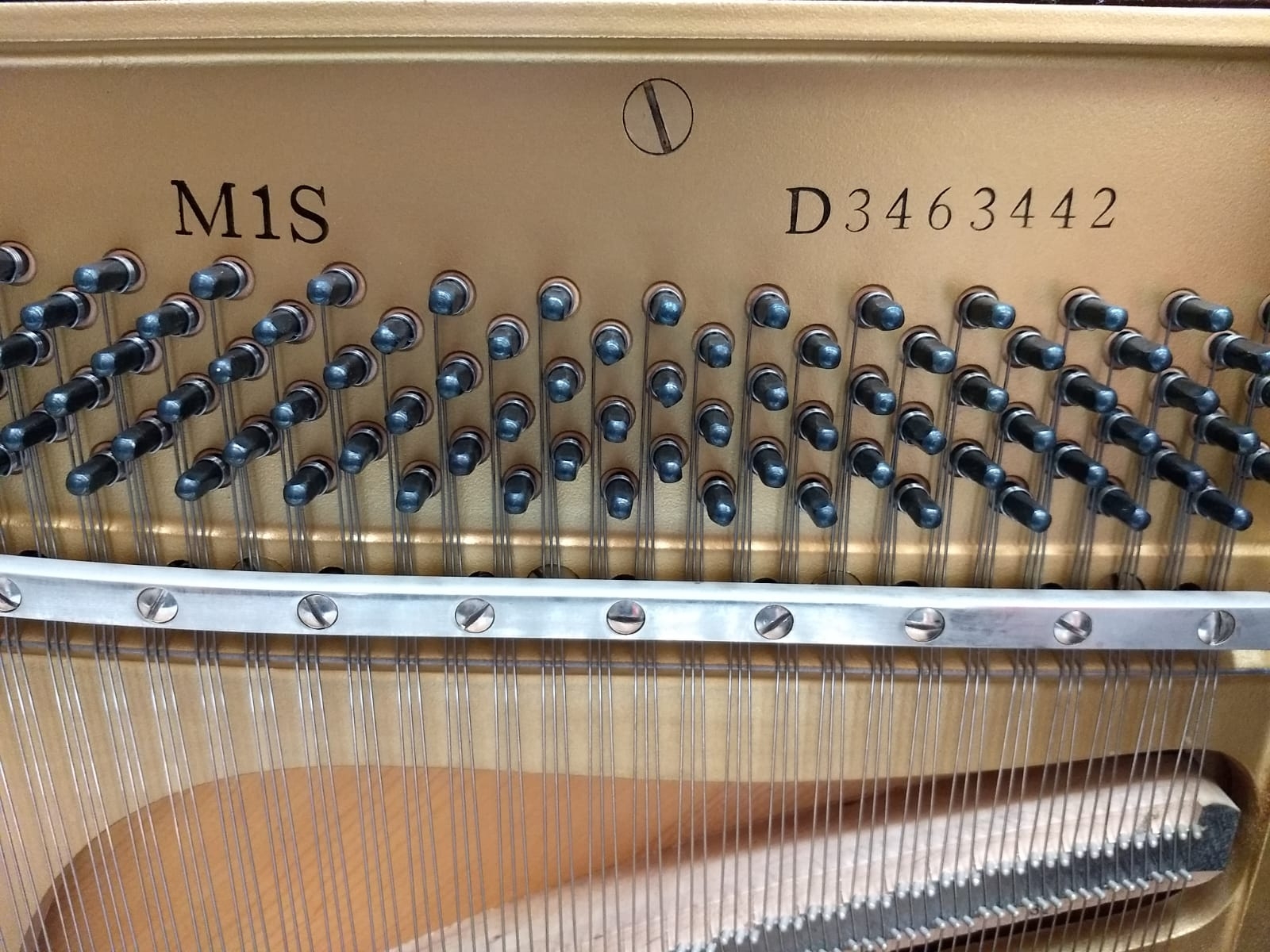 Yamaha M1S