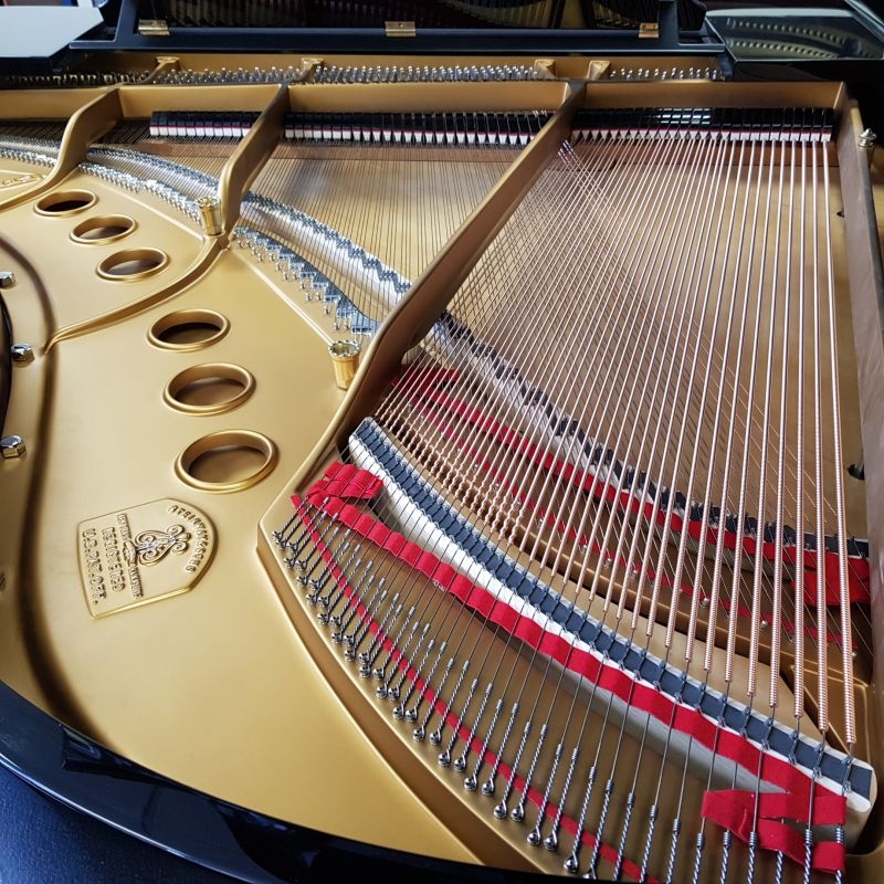 Steinway M