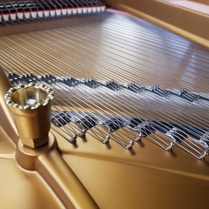Steinway M