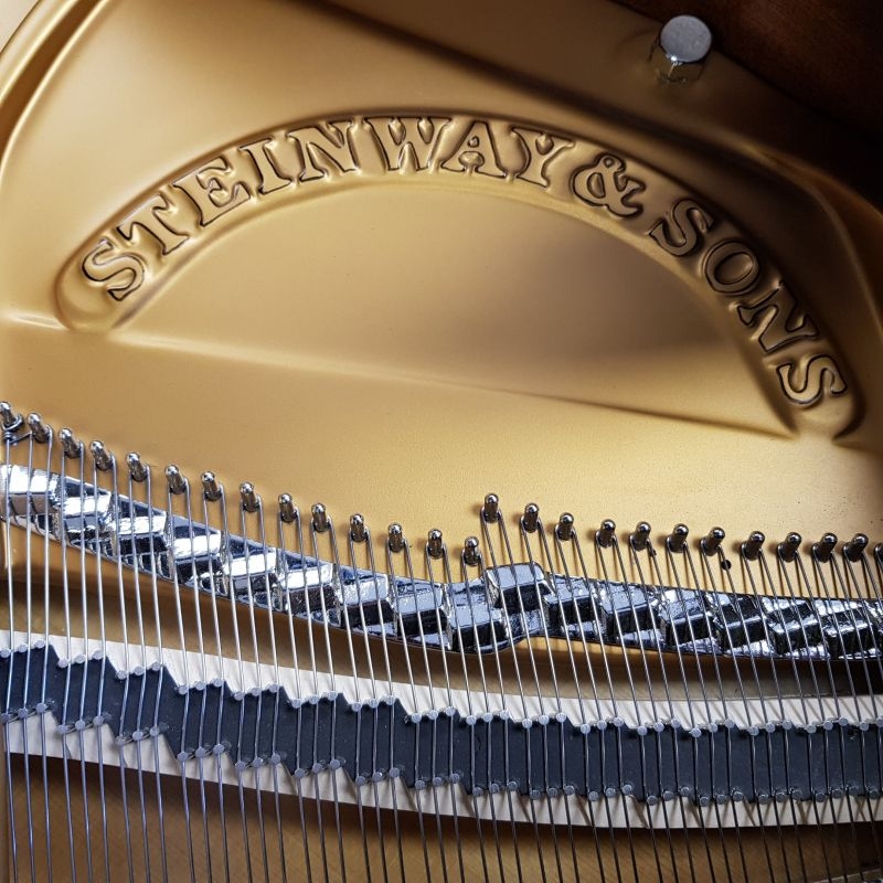 Steinway M