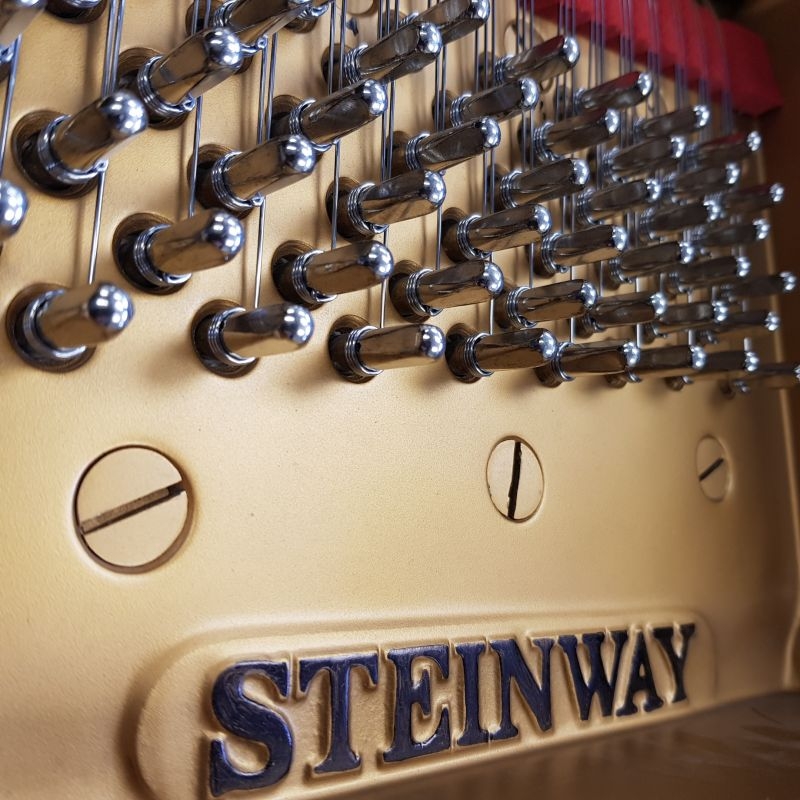 Steinway M