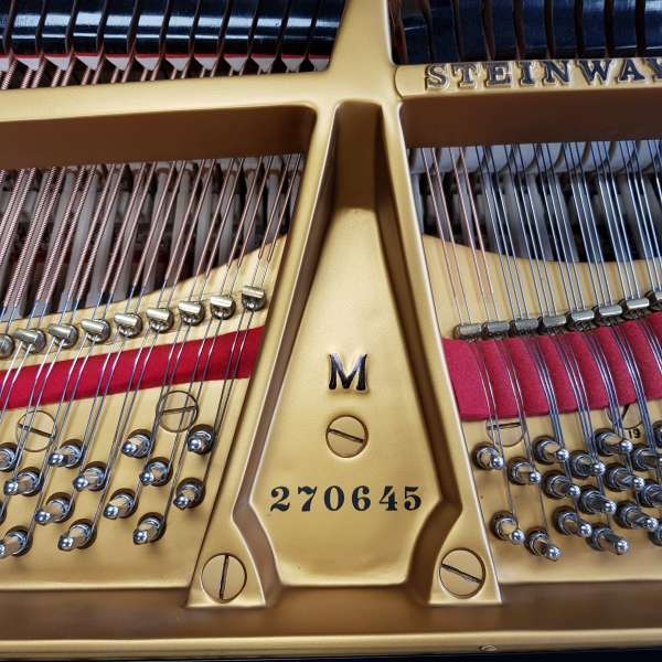 Steinway M