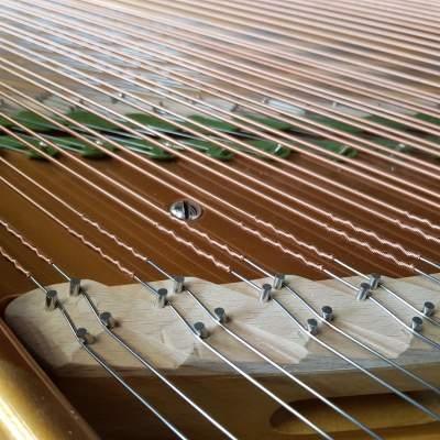 Bechstein V grand Piano in Bright Black – Gallery image – Roberts Pianos Oxford