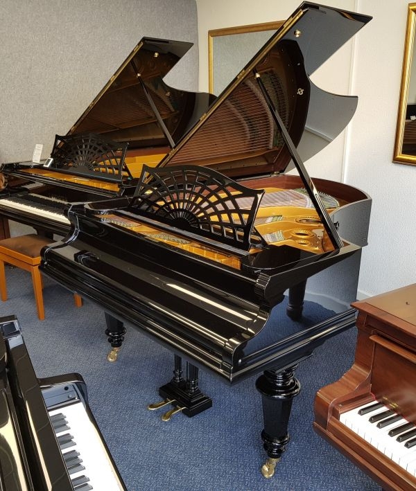 Bechstein V
