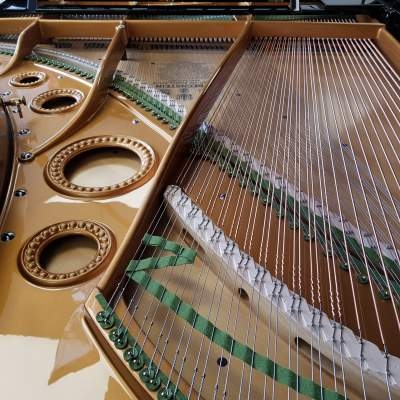 Bechstein V