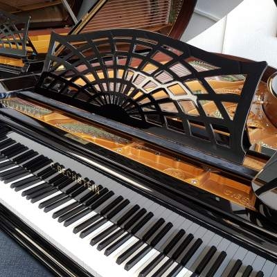 Bechstein V