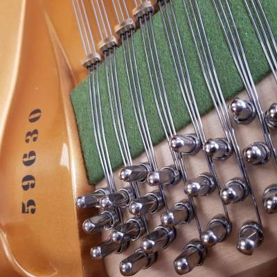 Bechstein V