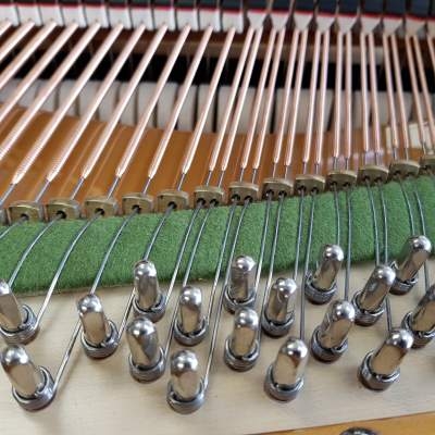 Bechstein V
