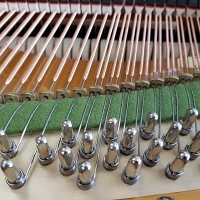 Bechstein V grand Piano in Bright Black – Gallery image – Roberts Pianos Oxford