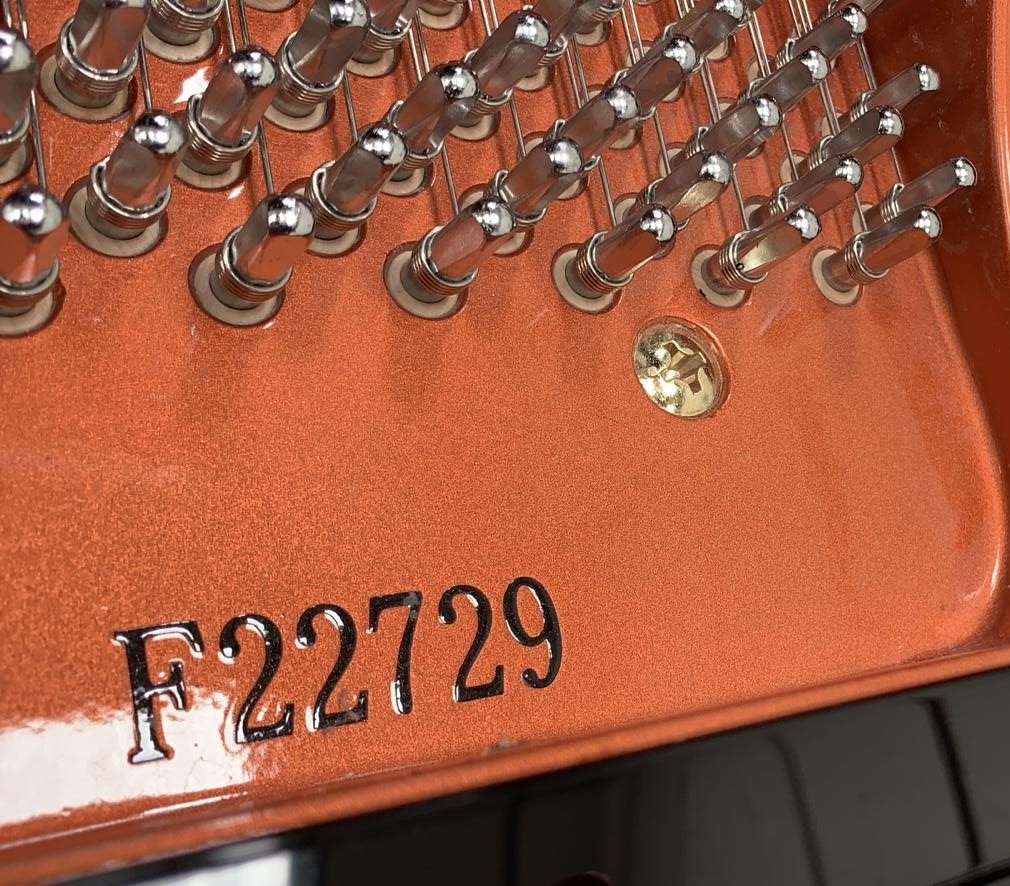 Feurich 162