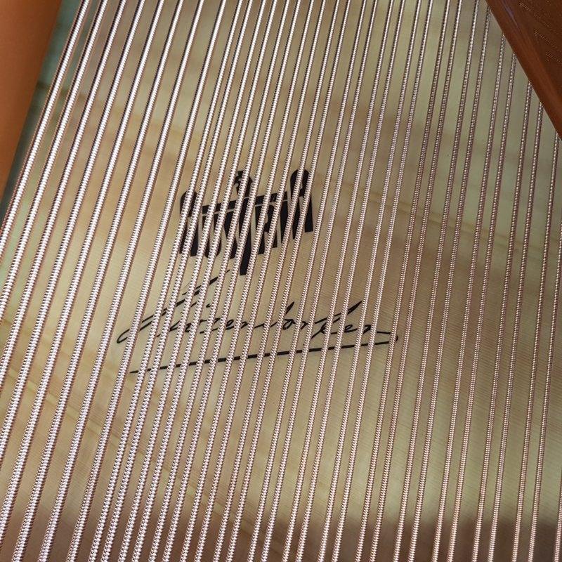 Bosendorfer 170 grand Piano in bright black – Gallery image – Roberts Pianos Oxford