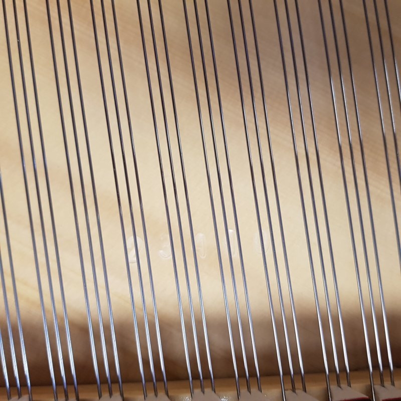 Bosendorfer 170