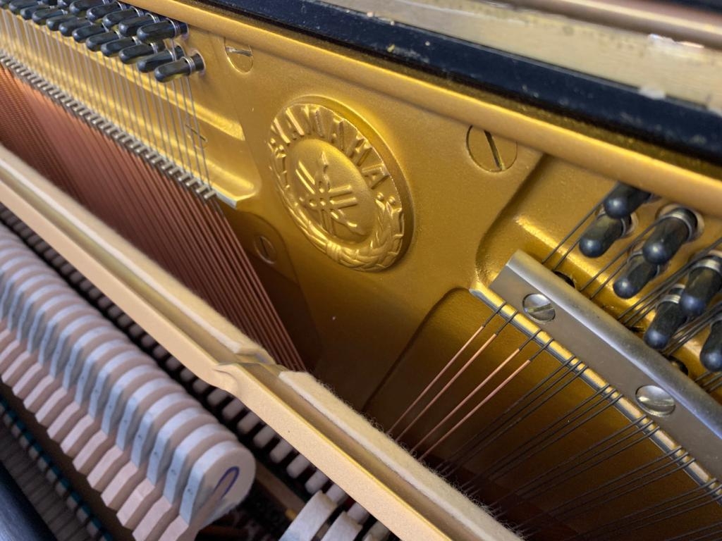 Yamaha U1M
