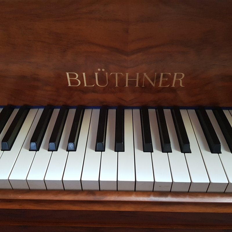 Bluthner IV