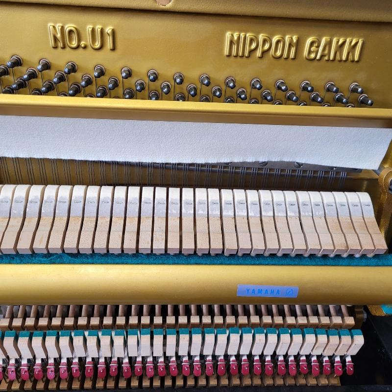Yamaha U1F upright Piano in Bright black – Gallery image – Roberts Pianos Oxford
