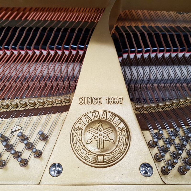 Yamaha G1RE