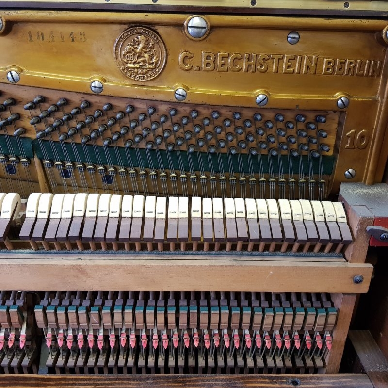 Bechstein 10
