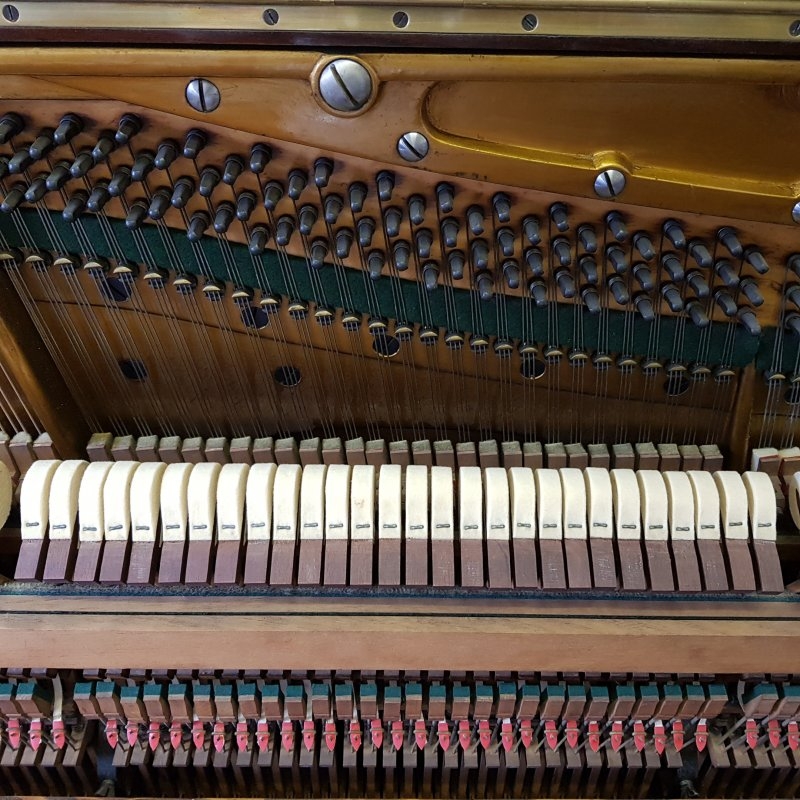 Bechstein 10
