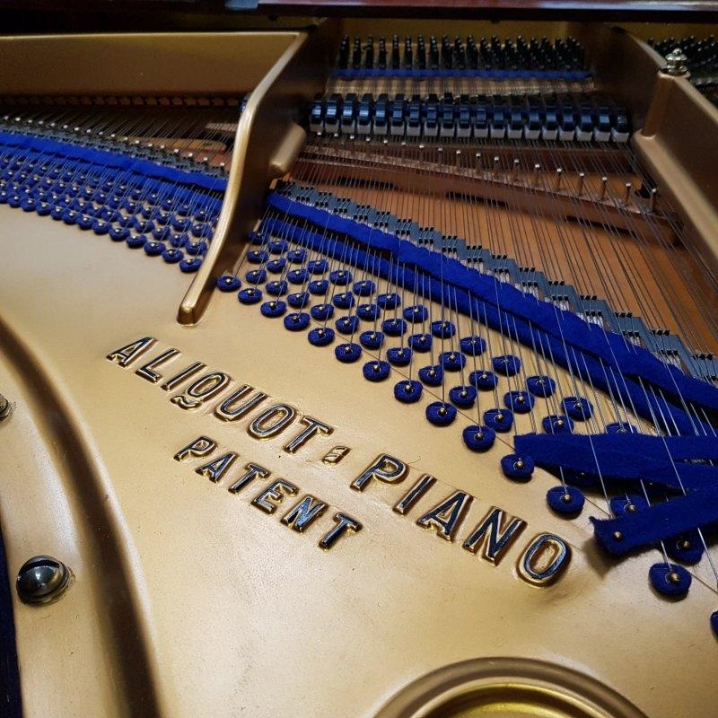 Bluthner VIII Aliquot grand Piano in Rosewood – Gallery image – Roberts Pianos Oxford