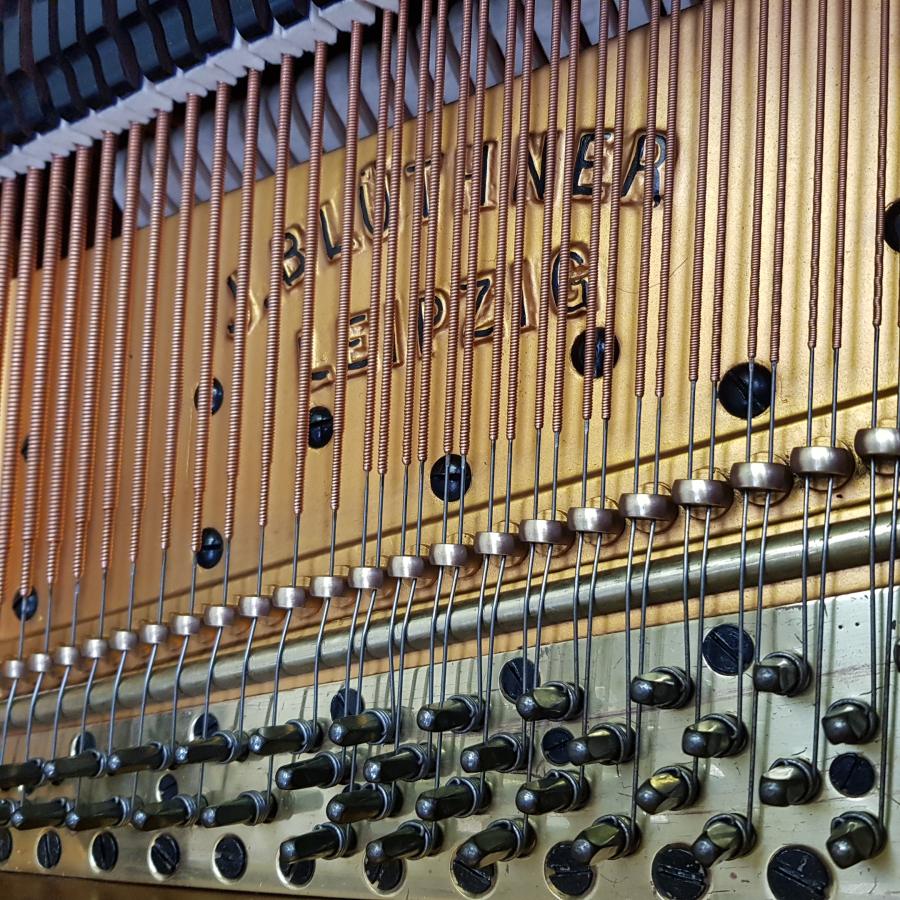 Bluthner VIII Aliquot grand Piano in Rosewood – Gallery image – Roberts Pianos Oxford